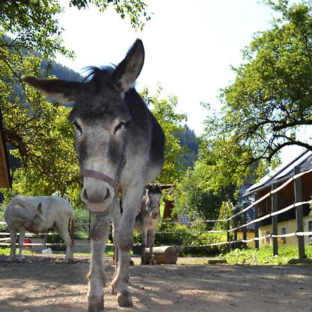 Ferienstadl - Hammerau Gostling an der Ybbs Bagian luar foto