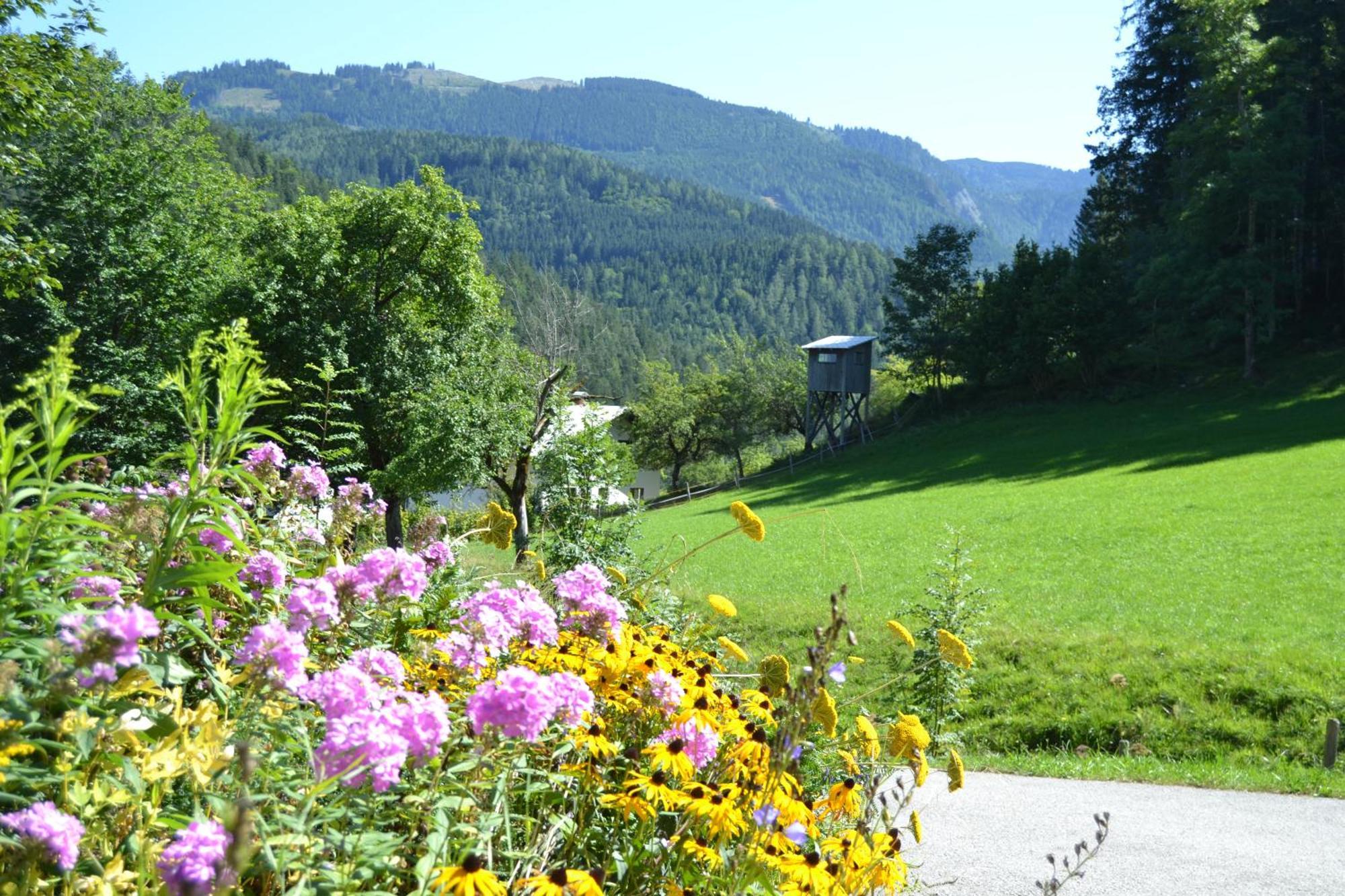 Ferienstadl - Hammerau Gostling an der Ybbs Bagian luar foto