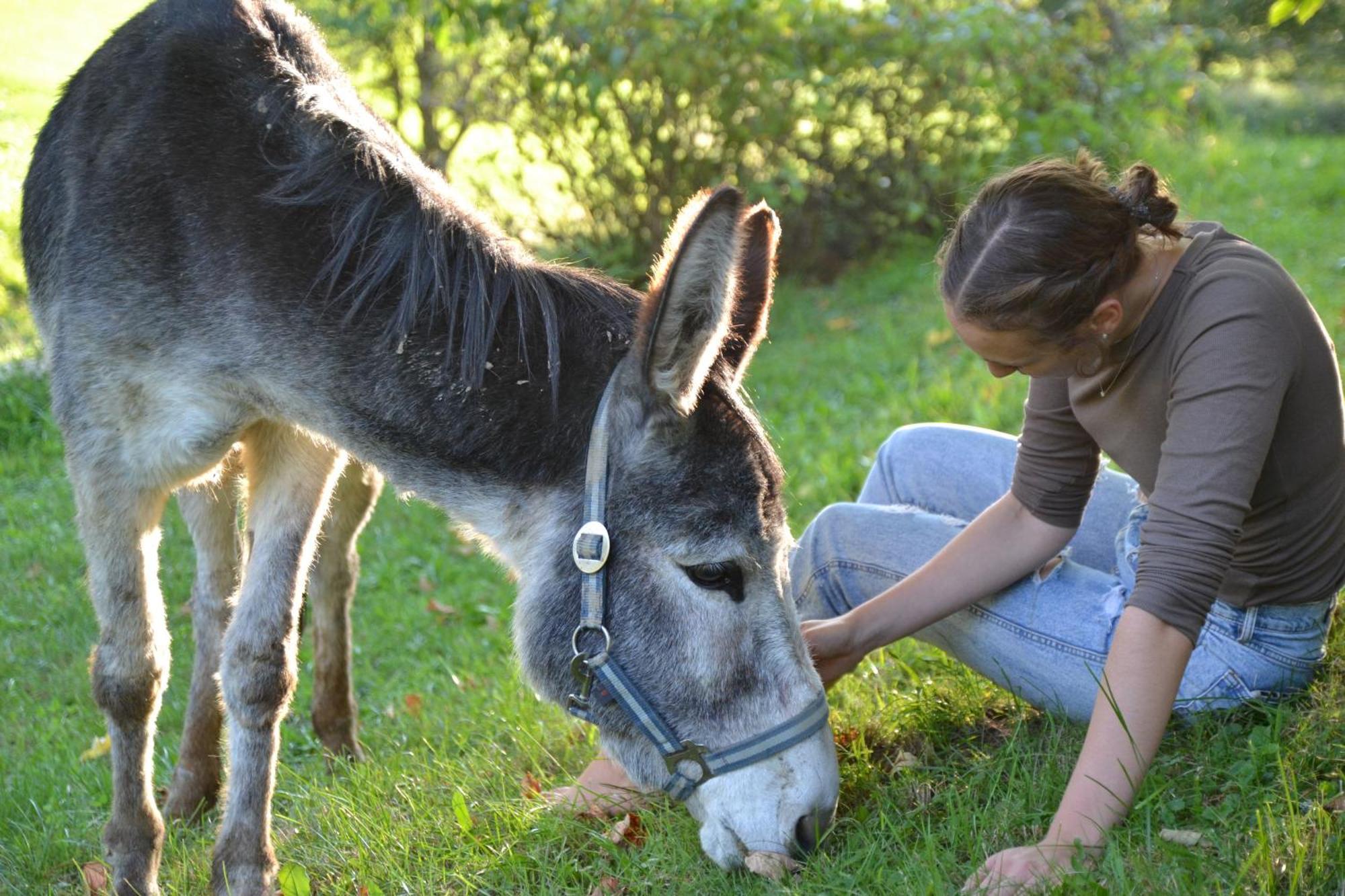 Ferienstadl - Hammerau Gostling an der Ybbs Bagian luar foto