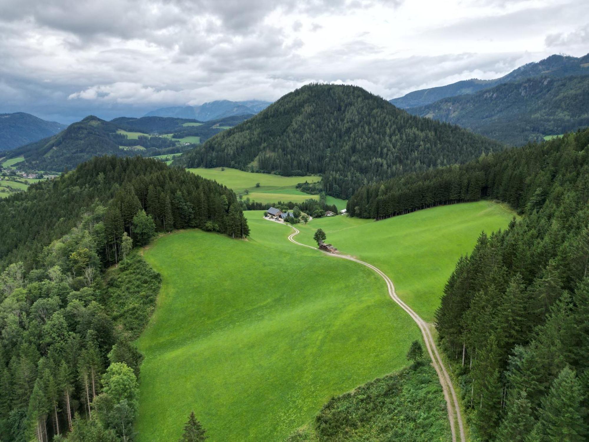 Ferienstadl - Hammerau Gostling an der Ybbs Bagian luar foto